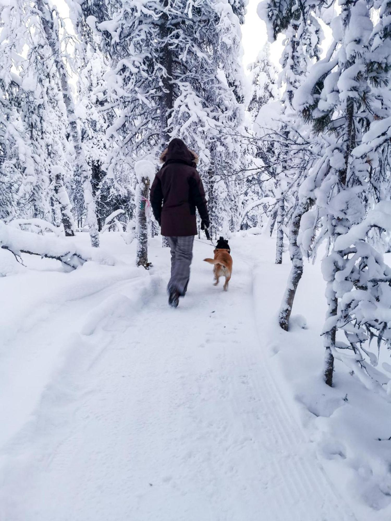 Apartamento Luttotupa Saariselkä Exterior foto